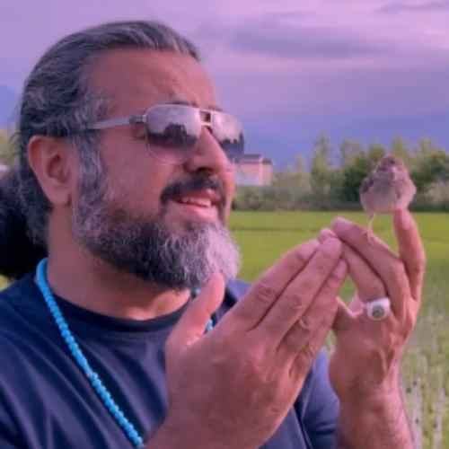 بتیل بتیل — پرواز همای