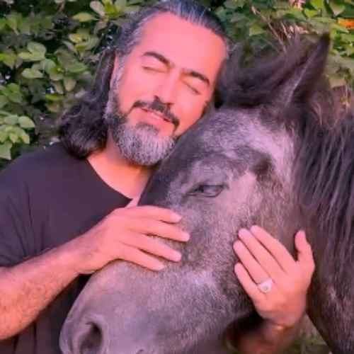 بمانی — پرواز همای
