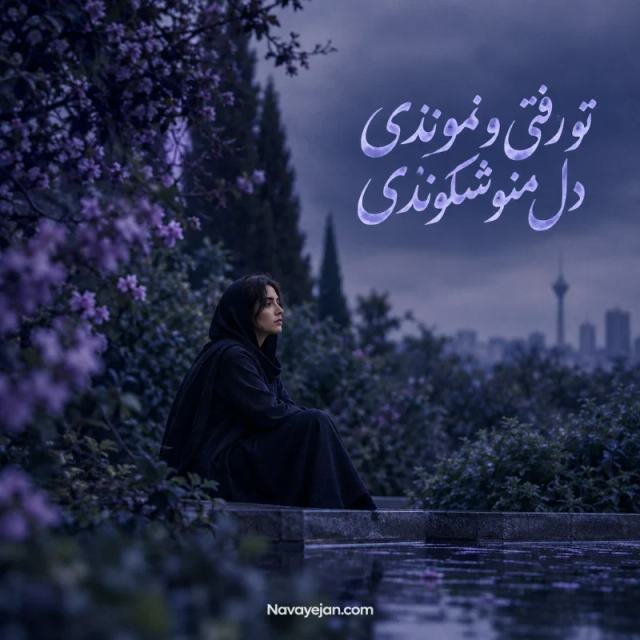  تو رفتی و نموندی دل منو شکوندی — Delara Baran