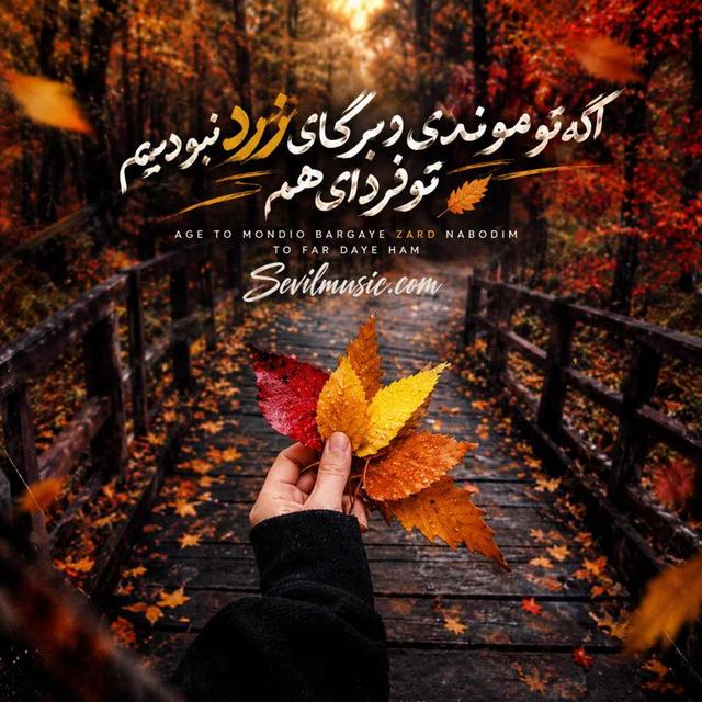 دانلود آهنگ اگه تو موندی و برگای زرد نبودیم تو فردای هم — Unknown Artist