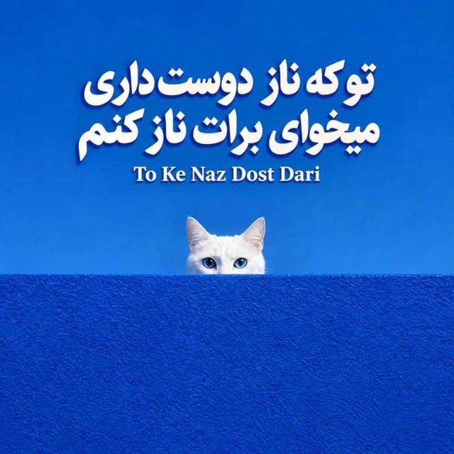 دانلود آهنگ تو که ناز دوست داری میخوای برات ناز کنم — Unknown Artist
