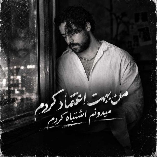 دانلود آهنگ من بهت اعتماد کردم میدونم اشتباه کردم — Shervin Hajipour