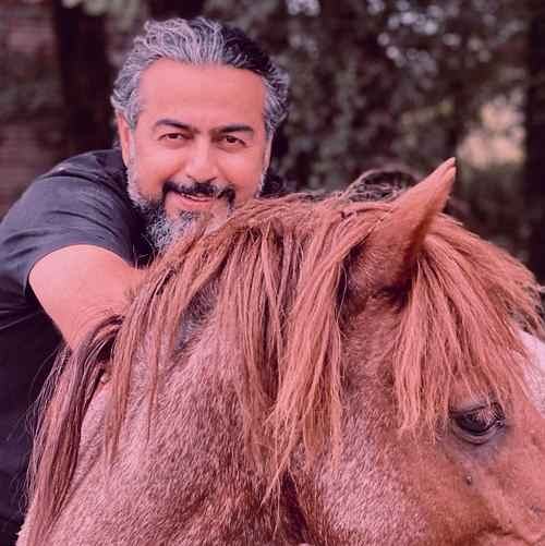 پروانه — پرواز همای