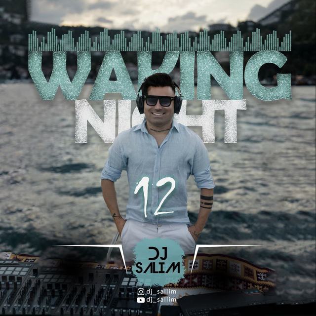 dj salim waking night 12 — DJ Salim