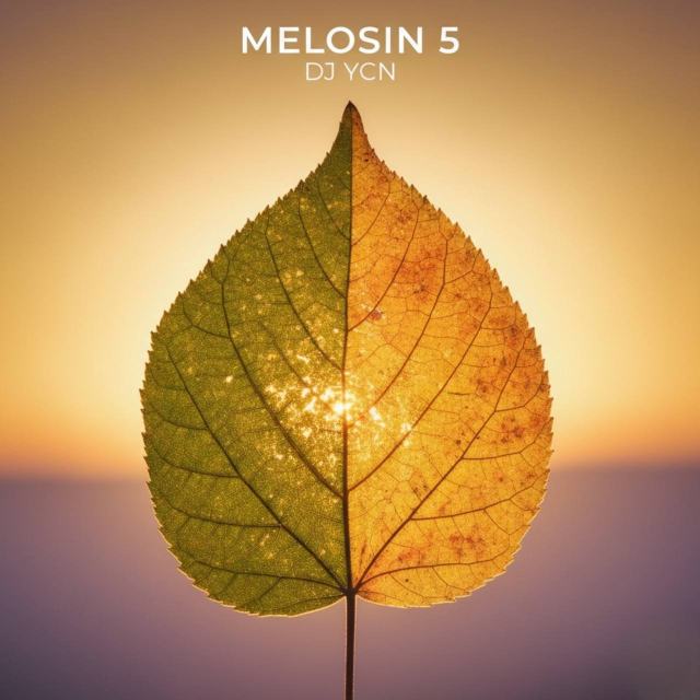 dj ycn melosin 5 — DJ Ycn