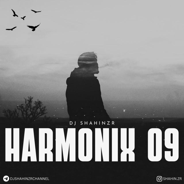 harmonix 9 — DJ Shahin ZR