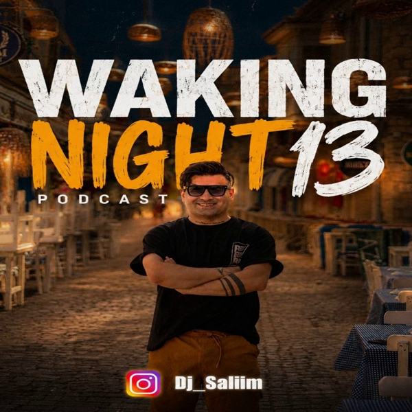 waking night 13 — DJ Salim